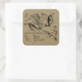 Pisces Constellation Hevelius 1690 Decor Vierkante Sticker (Tas)