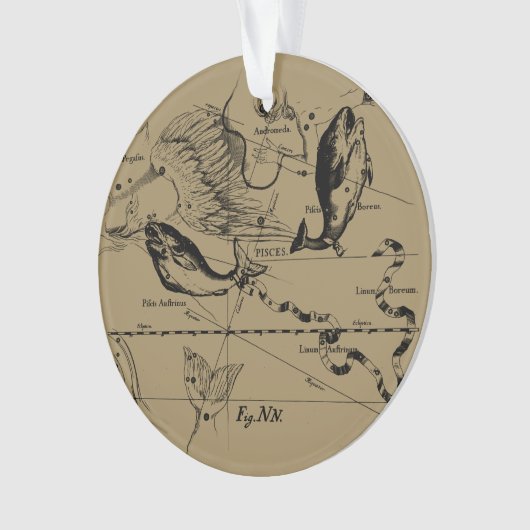 Pisces Constellation Hevelius 1690 Engraving (devant)