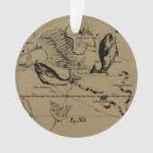 Pisces Constellation Hevelius 1690 Engraving (devant)