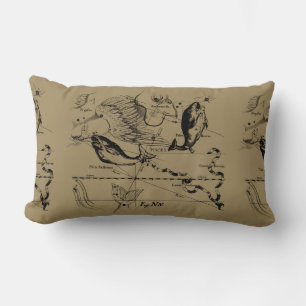 Pisces Constellation Hevelius 1690 Engraving Kussen