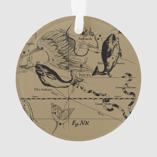 Pisces Constellation Hevelius 1690 Engraving Ornament (achterkant)