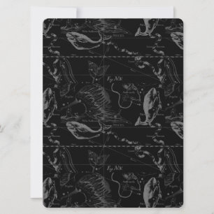 Pisces Constellation Hevelius 1690 feb19 - maart 2