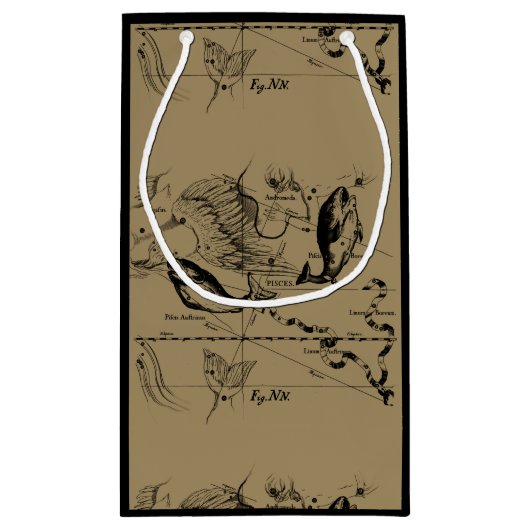 Pisces Constellation Hevelius 1690 feb19 - maart 2 Klein Cadeauzakje (Achterkant)