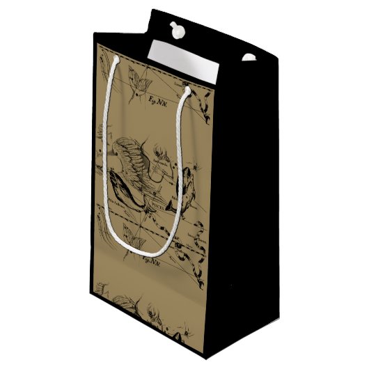 Pisces Constellation Hevelius 1690 feb19 - maart 2 Klein Cadeauzakje (Voorkant Gekanteld)