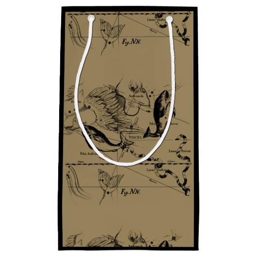 Pisces Constellation Hevelius 1690 feb19 - maart 2 Klein Cadeauzakje (Voorkant)