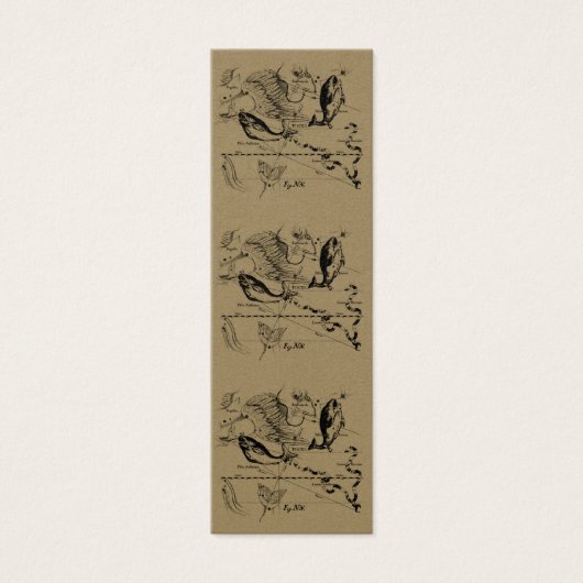 Pisces Constellation Hevelius 1690 févr19 - 20 mar (Devant)