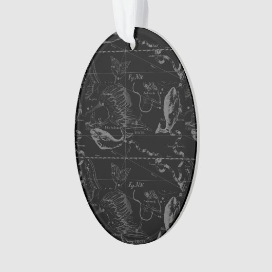 Pisces Constellation Hevelius 1690 Map Engraving Ornament (voorkant)