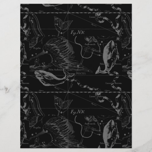 Pisces Constellation Hevelius 1690 on Black (Voorkant)