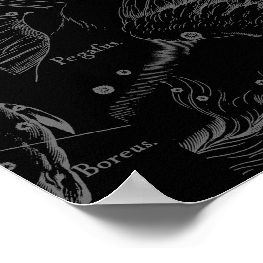 Pisces Constellation Hevelius 1690 on Black Poster (Hoek)