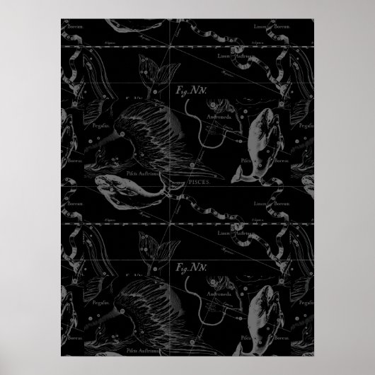 Pisces Constellation Hevelius 1690 on Black Poster (Voorkant)