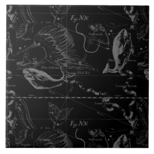Pisces Constellation Hevelius 1690 on Black Tegeltje