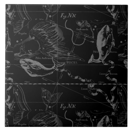 Pisces Constellation Hevelius 1690 on Black Tegeltje (Voorkant)