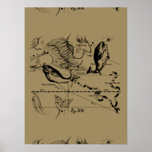 Pisces Constellation Hevelius 1690 op Taupe Poster