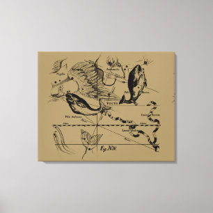 Pisces Constellation Hevelius circa 1690 Canvas Afdruk