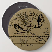 Pisces Constellation Hevelius circa 1690 Ronde Button 6,0 Cm (Voorkant /achterkant)