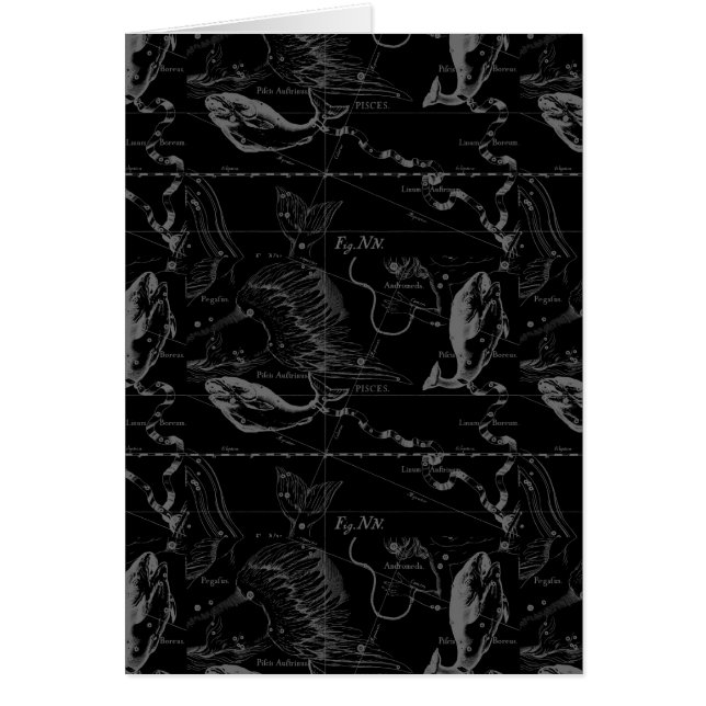 Pisces Constellation Map door Hevelius 1690 (Voorkant)