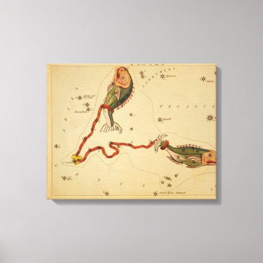 Pisces de vis - teken van het Afbeelding van de d Canvas Afdruk (Voorkant)