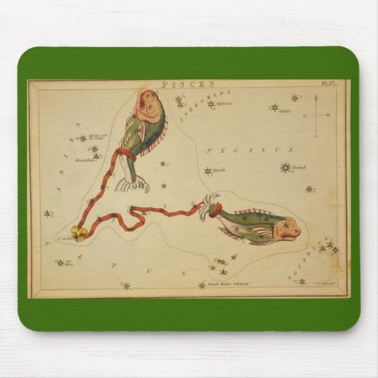 Pisces-Muismat Muismat (Voorkant)
