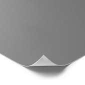 Pisces Poster (Hoek)