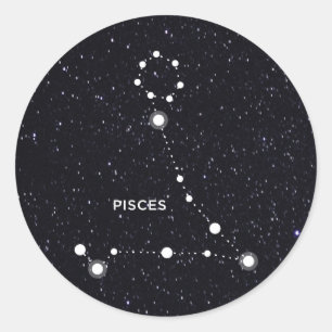 Pisces Ronde Sticker