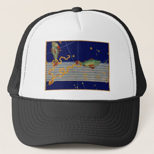 Pisces Star Chart Trucker Pet (Voorkant)