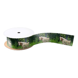 Piscine à ruban en satin Palomino Horse