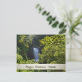 Pisgah National Forest Blue Ridge Mountains Briefkaart (Staand voorkant)