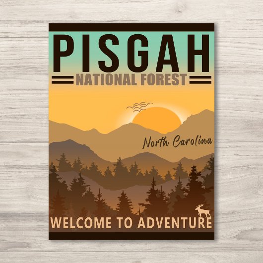 Pisgah National Forest North Carolina Briefkaart