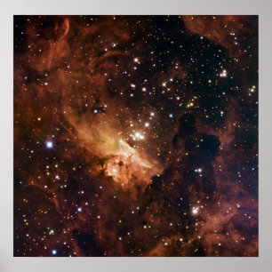 Pismis 24 bruine sterren NASA Poster