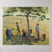Pissarro - Apple Pickers Eragny 1888 Poster (Voorkant)