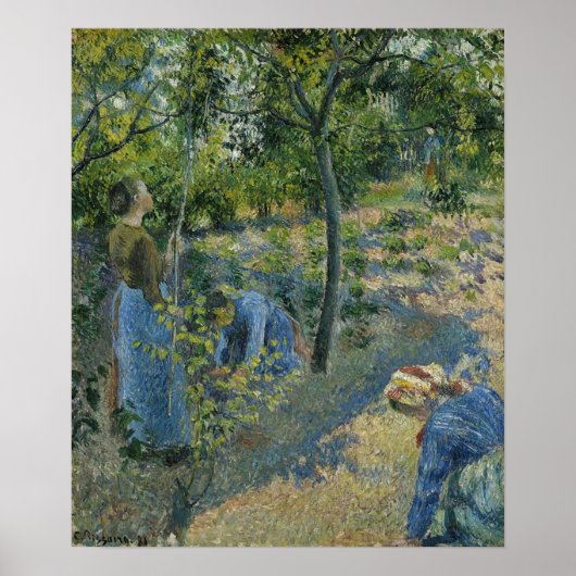 Pissarro - Apple Picking 1881 Poster (Voorkant)
