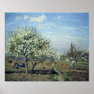 Pissarro - Boomgaard in bloei Louveciennes 1892 Poster