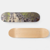 Pissarro - Boulevard Montmartre - Spring Skateboard (Horizontaal)