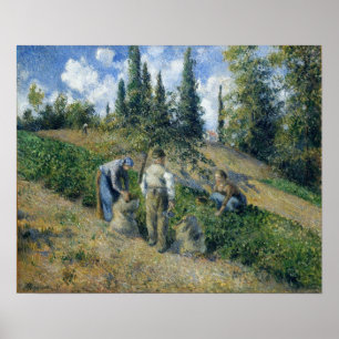 Pissarro - De Oogst Pontoise 1881 Poster