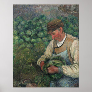 Pissarro - de tuinboer met kool poster