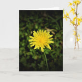 Pissenlit, carte (Fleur jaune)