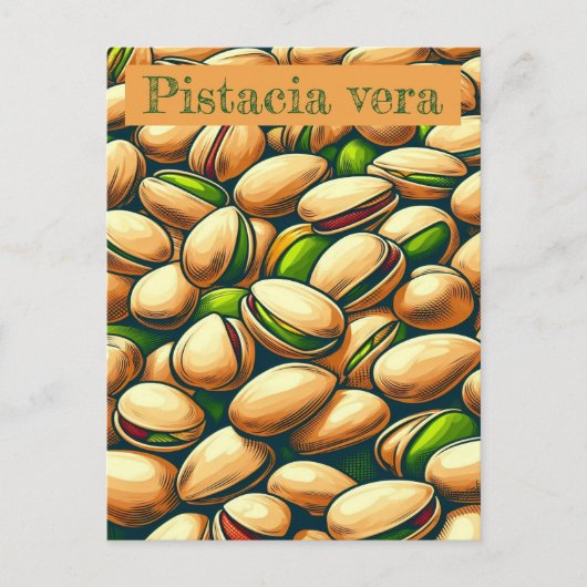Pistache pop kunst briefkaart (Voorkant)