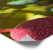 Pistaches... Poster (Hoek)