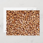 Pistachio Nuts Briefkaart (Voorkant / Achterkant)