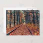 Piste à travers une carte postale forestière (Devant / Derrière)