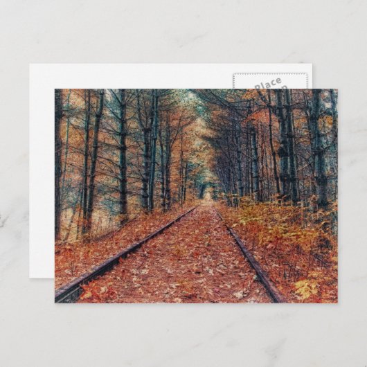 Piste à travers une carte postale forestière (Devant / Derrière)