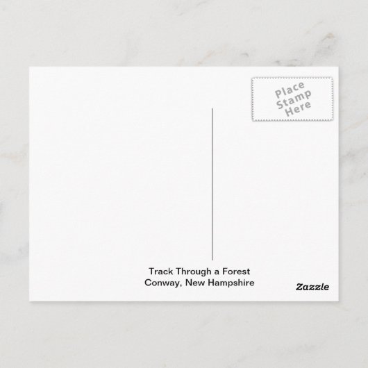 Piste à travers une carte postale forestière (Dos)