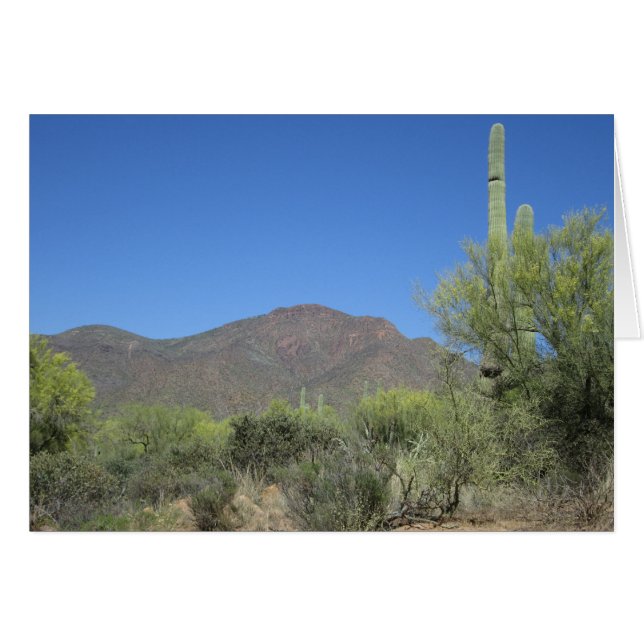 Piste Apache pittoresque (Devant horizontal)