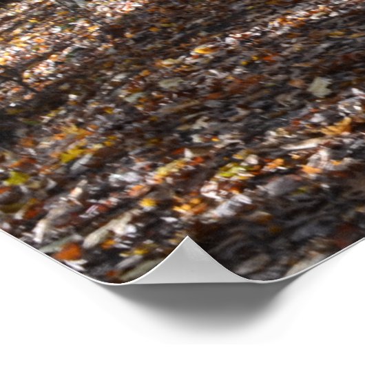 PISTE AUTOMNE. AFFICHE (Coin)