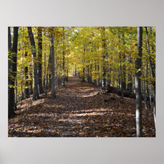 PISTE AUTOMNE. AFFICHE