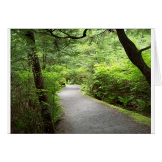 Piste de campagne luxuriante