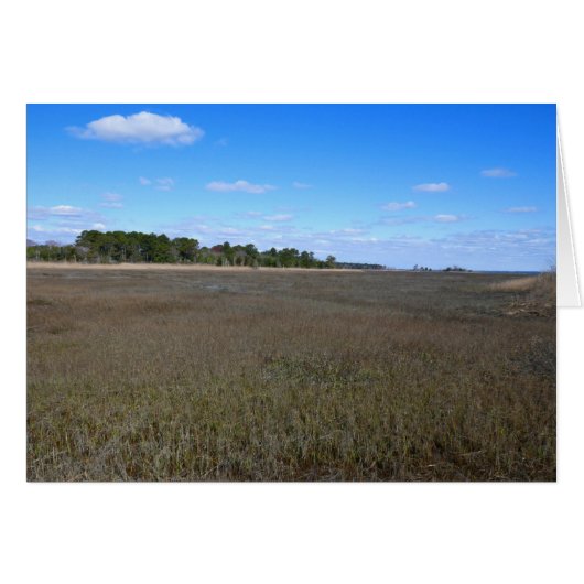 Piste de la réserve naturelle de Burton Island (Devant horizontal)