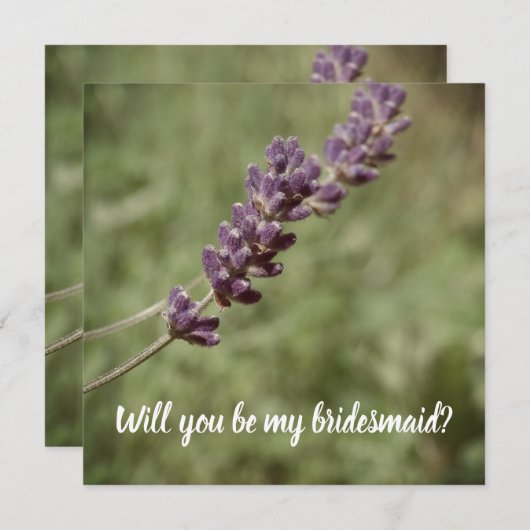 Piste de lavande, Seras-tu ma carte fleurie (Devant / Derrière)