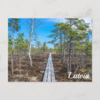 Piste en bois au-dessus de la carte postale du mar