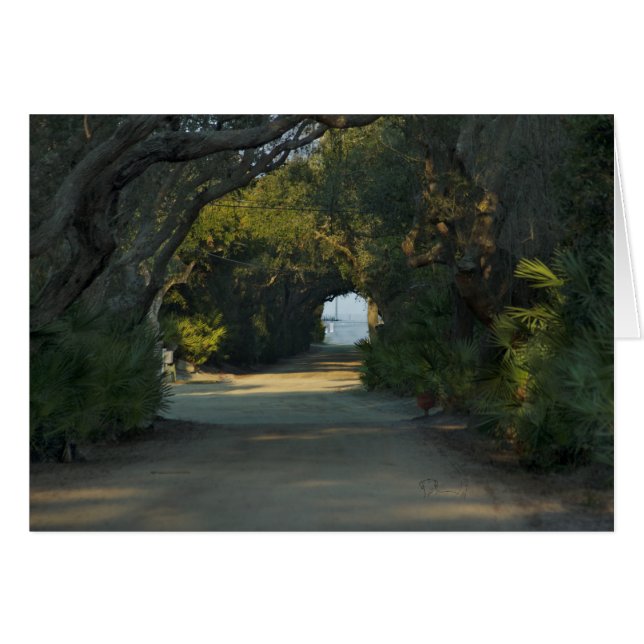 Piste paisible (Devant Horizontal)